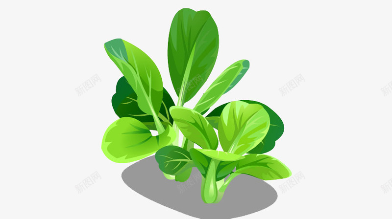 卡通蔬菜png免抠素材_新图网 https://ixintu.com 偷菜 卡通蔬菜 天然 油菜 游戏 种菜 绿色植物 菜类图片 蔬菜Q版