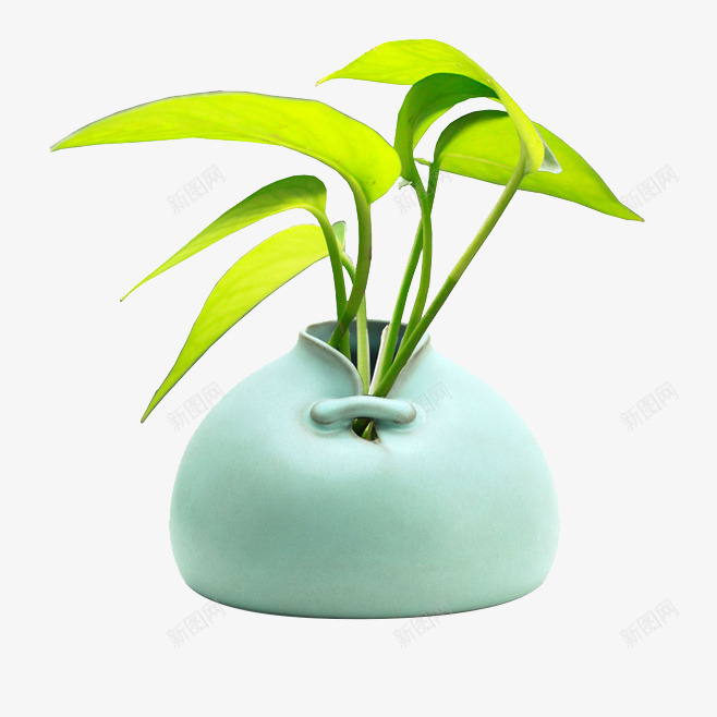 花瓶摆件png免抠素材_新图网 https://ixintu.com 摆件 新中式 绿植 绿色植物 花瓶 青色