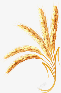 小麦免抠图案素材麦案元素几何元素元素高清图片