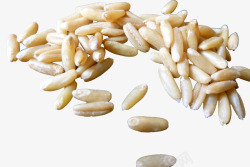 燕麦米煳燕麦米粒高清图片