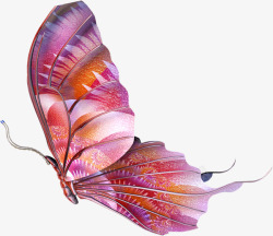 手绘创意鲜艳的飞舞的蝴蝶素材
