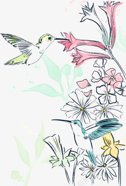 春季水彩文艺蜂鸟素材