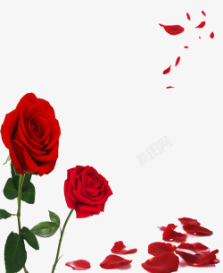 似火红色浪漫玫瑰墙绘高清图片