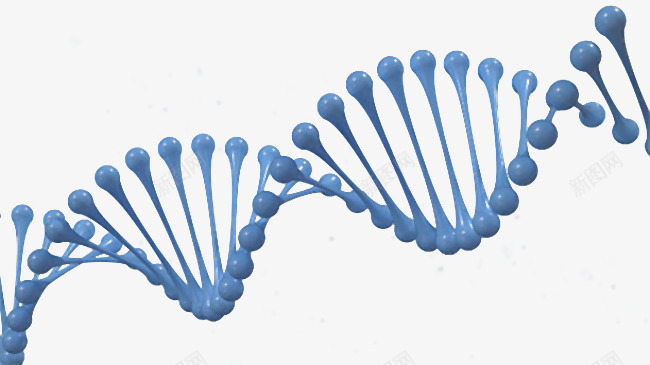 dna遗传物质基因蓝色肽链脱氧png免抠素材_新图网 https://ixintu.com dna dna遗传物质基因蓝色肽链脱氧核糖核酸png免费下载 亲子鉴定 基因 肽链 脱氧核糖核酸png 蓝色 遗传物质