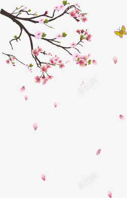 枝根樱花树枝矢量图高清图片