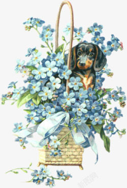 小狗带领花手绘花花花篮小狗高清图片