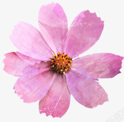 粉色文艺水彩复古花朵素材