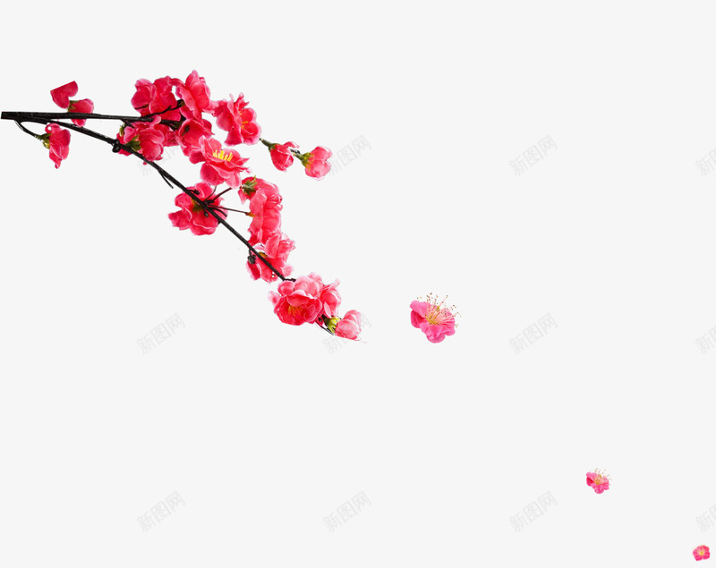 标签:飘落鲜红花瓣花朵花蕊素材投诉红色梅花树枝画册装饰梅花树枝