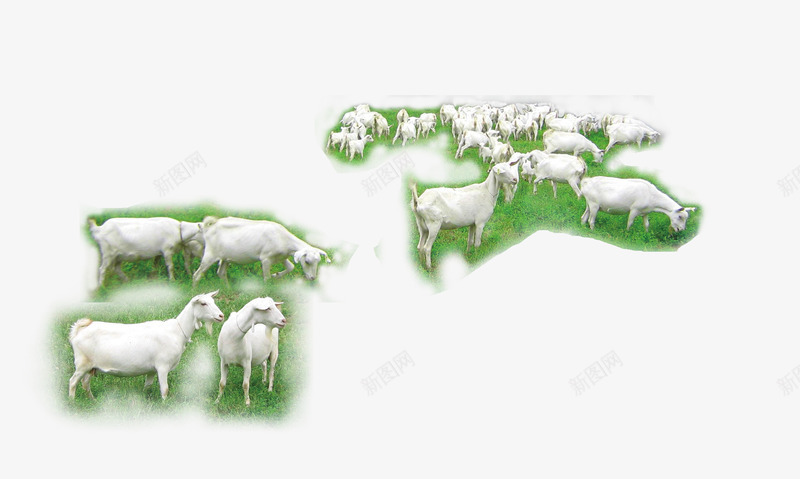 一群山羊png免抠素材_新图网 https://ixintu.com 动物 山羊 手绘羊群 羊群