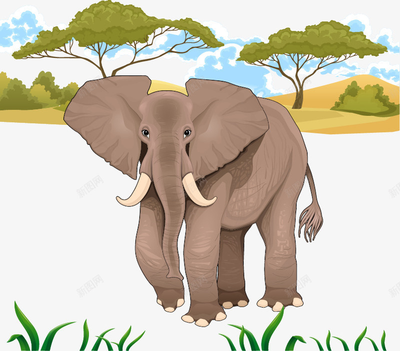 丛林里的大象png免抠素材_新图网 https://ixintu.com 大树 大象 小草 矢量素材 野外