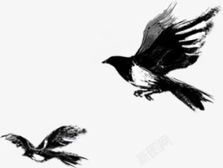黑色文艺手绘小鸟素材