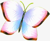 春季彩色手绘蝴蝶素材