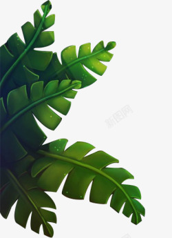 堆叠树叶png绿色芭蕉叶高清图片