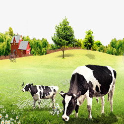 牧场风景奶牛牧场高清图片