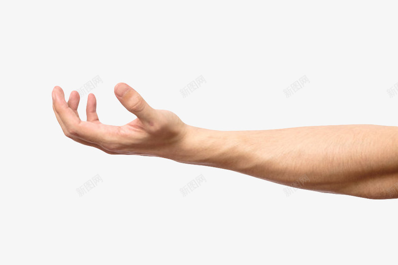 龙爪手手臂示意图png免抠素材_新图网 https://ixintu.com 上肢 伸手 四指并拢 平摊 意思 手掌 手握 手臂示意图 握着 粗壮 肢体 表示