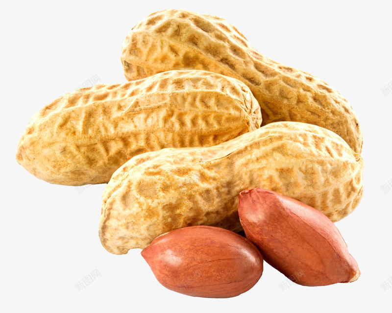 花生png免抠素材_新图网 https://ixintu.com 坚果花生食品