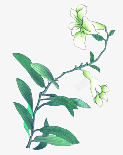 彩墨花草素材