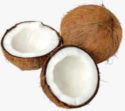 白色椰子肉掰开的椰子高清图片