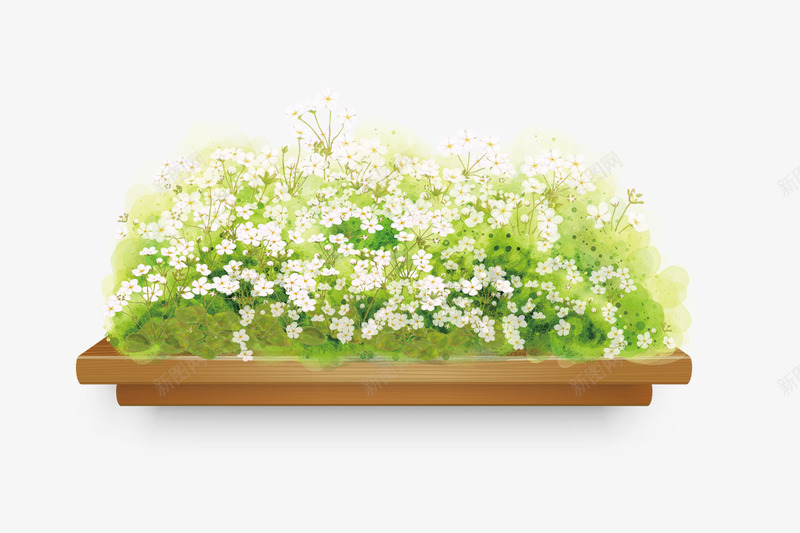 木板上的花png免抠素材_新图网 https://ixintu.com 木板 满天星 花丛 花朵