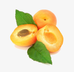 成熟杏子成熟的杏子高清图片