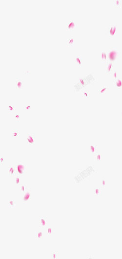 掉落的粉色花瓣七夕素材