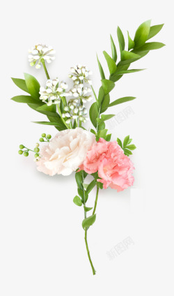 粉色绿叶彩色花朵装饰效果高清图片