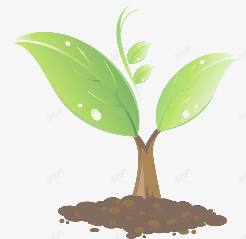 土壤小绿芽png免抠素材_新图网 https://ixintu.com 初春的力量 土壤 嫩绿 嫩绿的小芽 小绿芽 活力 绿色 青春