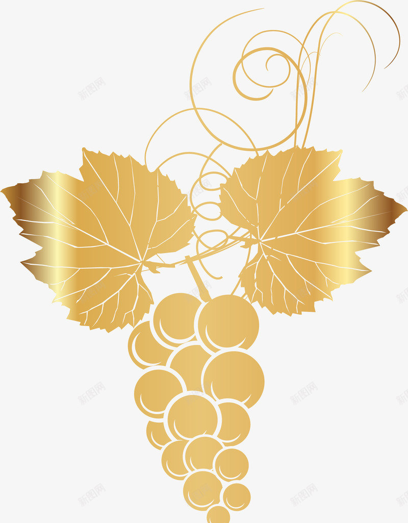 金色葡萄装饰图案png免抠素材_新图网 https://ixintu.com 标签装饰 渐变 红酒装饰 葡萄 葡萄酒