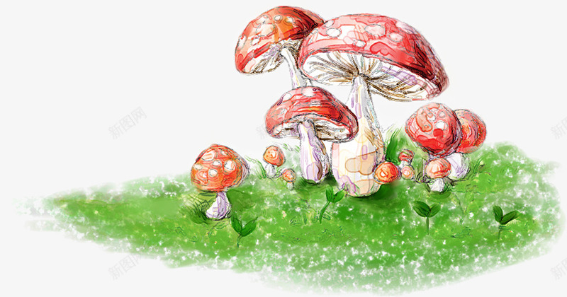 春季校园蘑菇手绘png免抠素材_新图网 https://ixintu.com 春季 校园 蘑菇