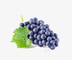 美味葡萄节黑加仑葡萄高清图片