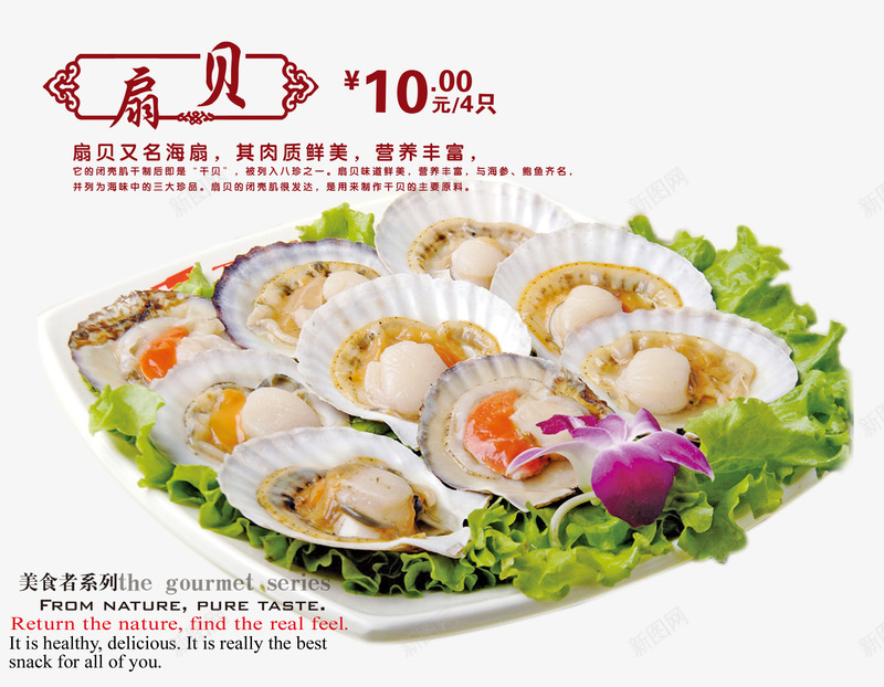 海鲜扇贝png免抠素材_新图网 https://ixintu.com 产品实物 生菜 碟子 精美海鲜 美味 美食 食物
