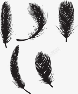 手绘精美黑色工艺羽毛黑色飘落的羽毛高清图片