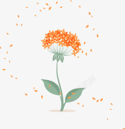 橙色小花瓣最小花素材