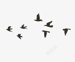 候鸟迁徙一群大雁高清图片