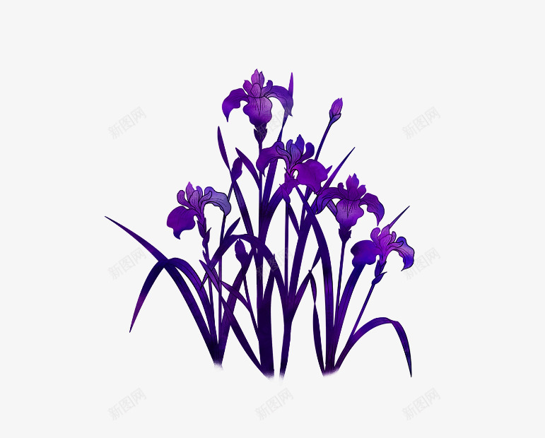 紫色花png免抠素材_新图网 https://ixintu.com 植物 紫色花朵 绿植 花 花儿 花卉 花朵 花瓣 花草树木