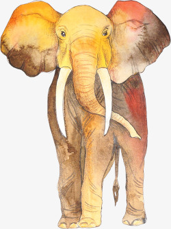卡通手绘文艺简约大象动物插画设素材