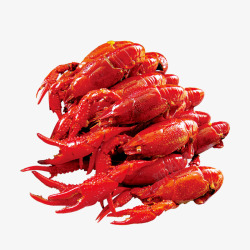 红色龙虾美食素材