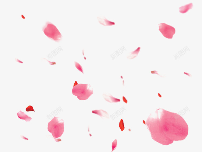 浮漂着的花瓣png免抠素材_新图网 https://ixintu.com 浮漂 漂浮 粉色 花瓣 飘落