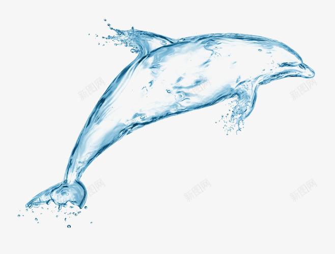蓝色透明水流海豚png免抠素材_新图网 https://ixintu.com 水流 海豚 蓝色 透明