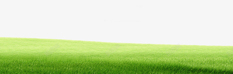 绿色的草坪png免抠素材_新图网 https://ixintu.com 活力 生命 绿色 草坪 阳光