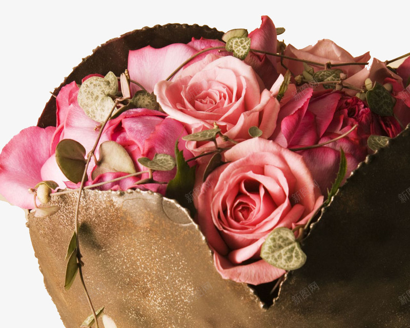 粉色玫瑰png免抠素材_新图网 https://ixintu.com 情人节礼物 纸质包装 鲜艳花朵