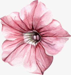 手绘一朵粉色喇叭花素材