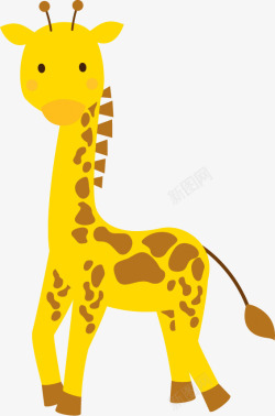 高高的高高的长颈鹿高清图片