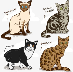 豹猫手绘卡通猫咪矢量图高清图片