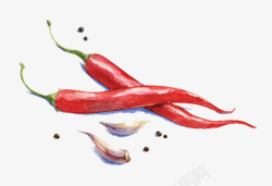 果蔬采摘手绘红色小辣椒和大蒜高清图片