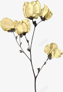 高档花束金色玫瑰花束美丽高档高清图片