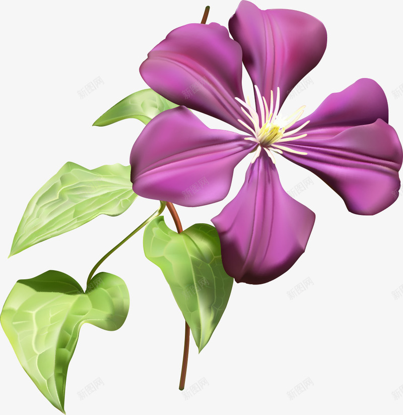 紫色花朵png免抠素材_新图网 https://ixintu.com 植物 紫色花朵 绿植 花 花儿 花卉 花朵 花瓣 花草树木