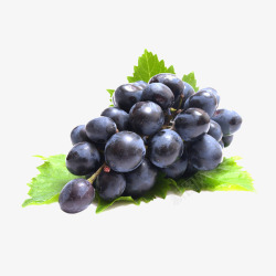 美味的葡萄葡萄元素高清图片