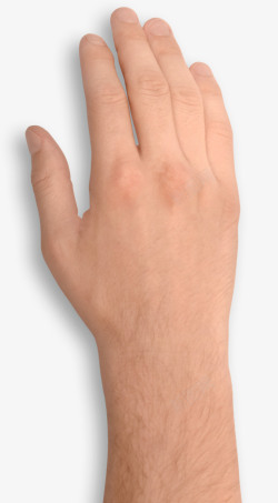 矢量男人手指一只男人的手实物图高清图片