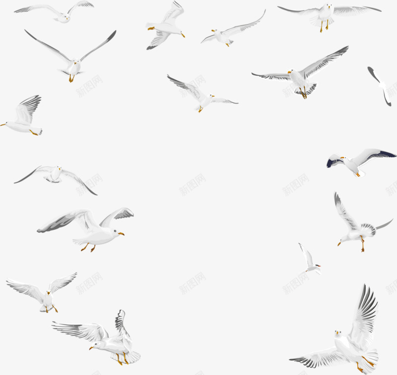 一堆海鸥png免抠素材_新图网 https://ixintu.com 好看 手绘 海鸥 白色